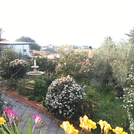 ゲストハウス Stanza Con Bagno E Cucina In Comune In Giardino