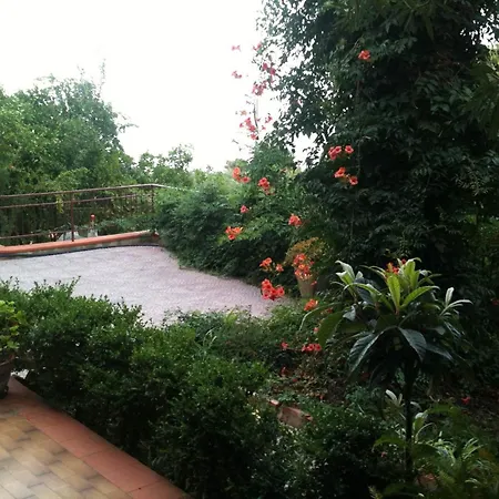 Stanza Con Bagno E Cucina In Comune In Giardino ゲストハウス